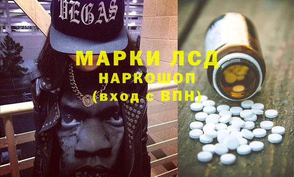 ГАЛЛЮЦИНОГЕННЫЕ ГРИБЫ Вязьма