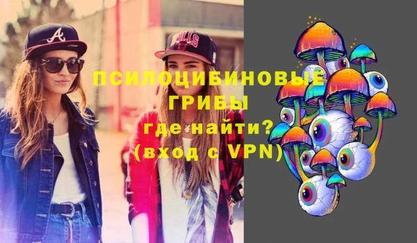 ГАЛЛЮЦИНОГЕННЫЕ ГРИБЫ Горно-Алтайск