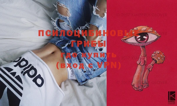 ГАЛЛЮЦИНОГЕННЫЕ ГРИБЫ Вязьма