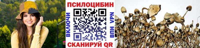 гидра зеркало  Ивантеевка  Псилоцибиновые грибы MAGIC MUSHROOMS 